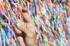 Conheça a Federal Milionária