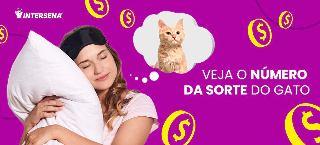 Gato números da sorte