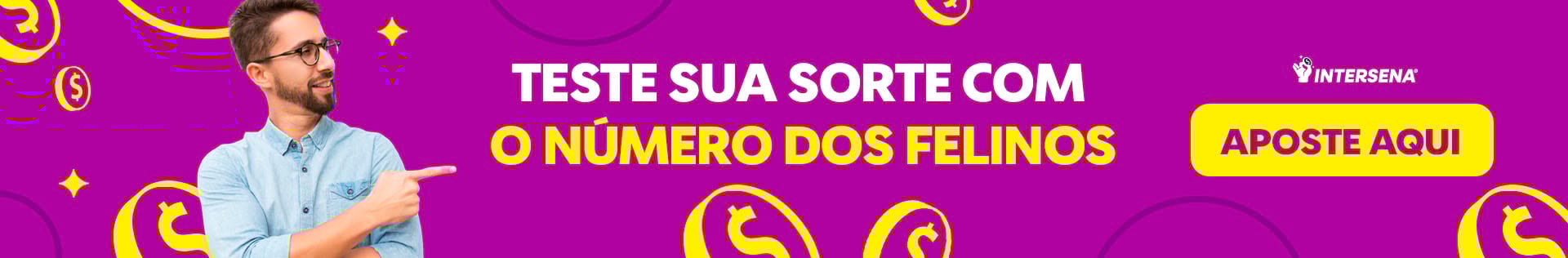Aposte no número do gato